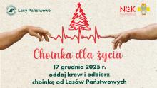 Choinka dla życia: podaruj krew, odbierz świąteczne drzewko