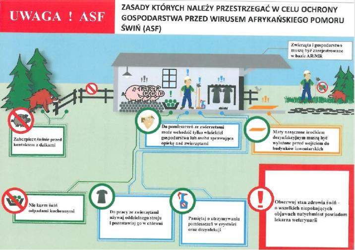 Źródło&#x3a;&#x20;Główny&#x20;Inspektorat&#x20;Weterynarii