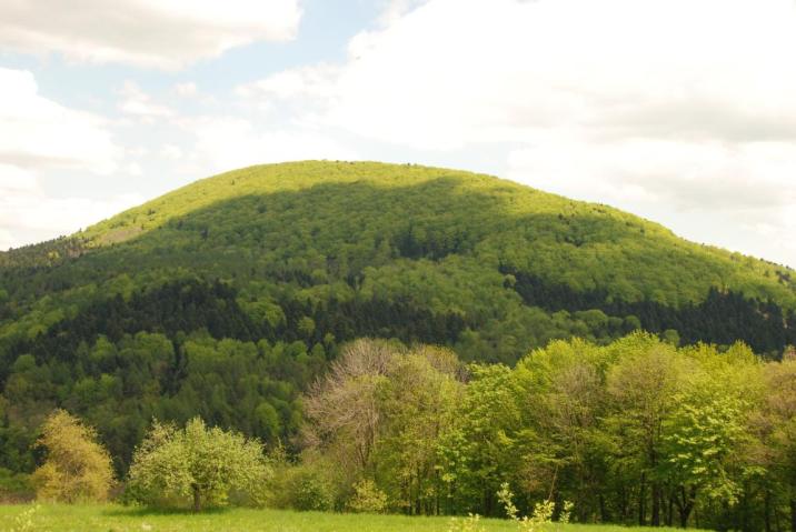 Fot&#x2e;&#x20;Paweł&#x20;Twaróg