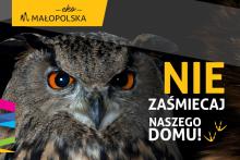 Oko w oko z dzikimi zwierzętami w kampanii antyśmieciowej Małopolski