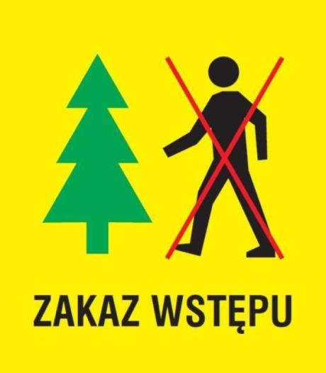 Decyzja nr 11/2020 Nadleśniczego Nadleśnictwa Limanowa