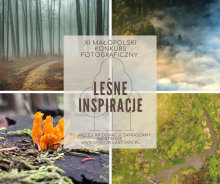 XI Małopolski Konkurs Fotograficzny „Leśne Inspiracje"