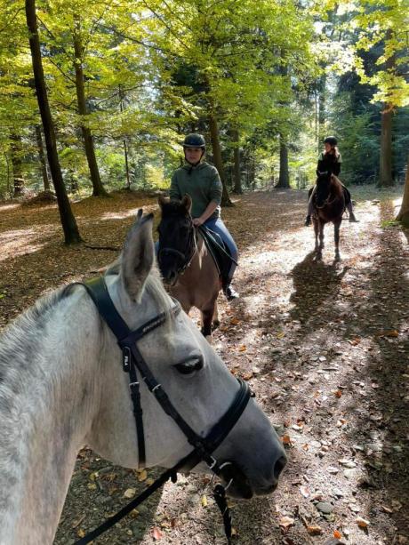 Drogi leśne wyznaczone przez Nadleśniczego Nadleśnictwa Limanowa do jazdy konnej na terenie Nadleśnictwa Limanowa