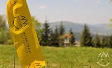 Udostępnianie terenu leśnego w celu organizacji i przeprowadzania imprez sportowych lub masowych